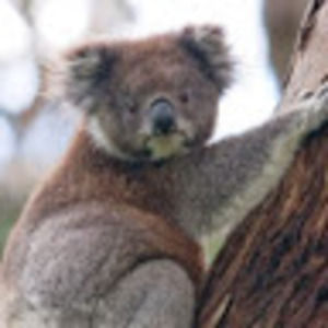 Meet your Posher, Kylie